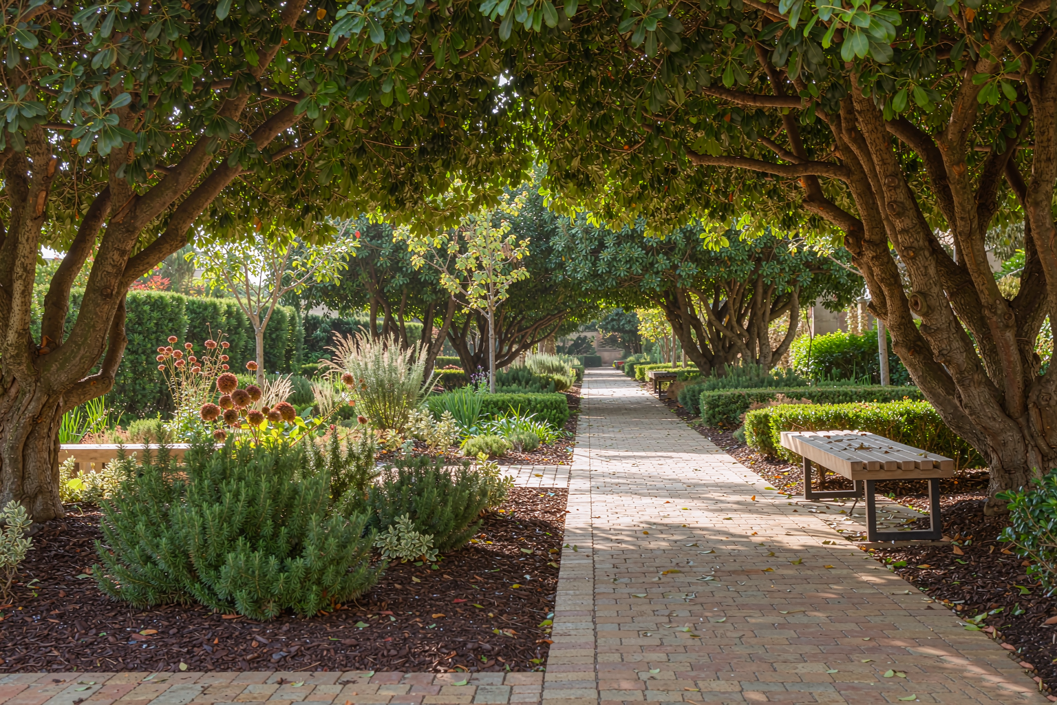 江山壹号 相册图1